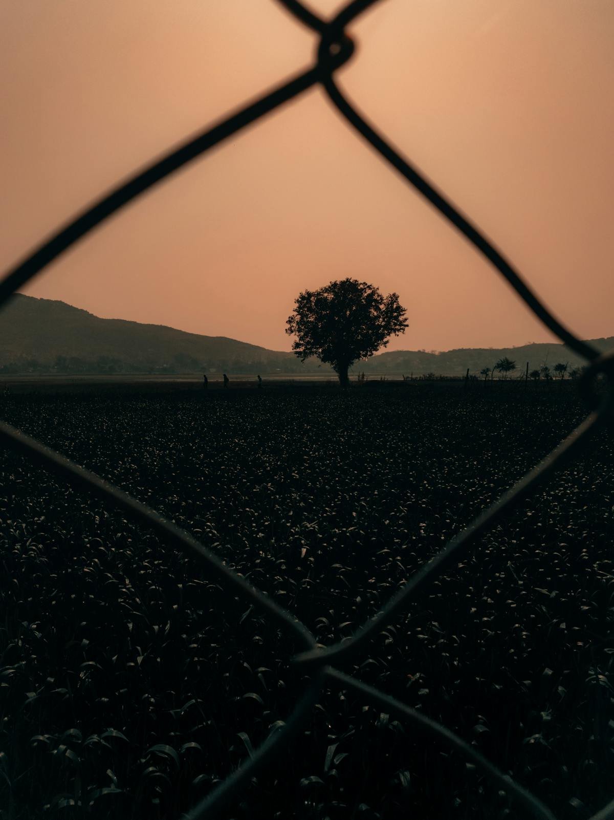 Education with Purpose