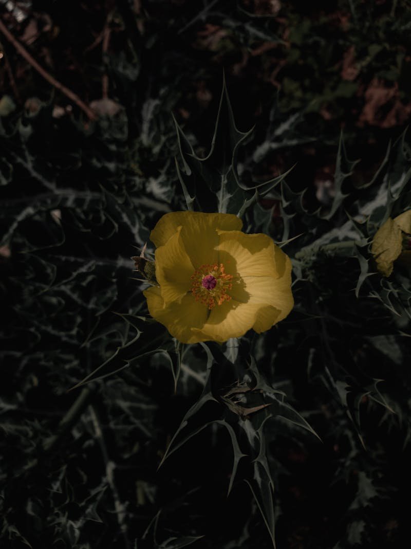 The Importance of Good Manners in Islamic Education